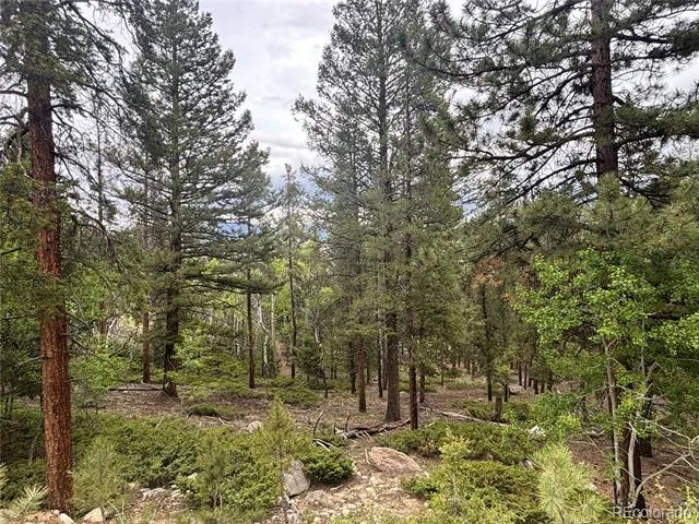 30304 Aspen Turn Buena Vista, CO 81211