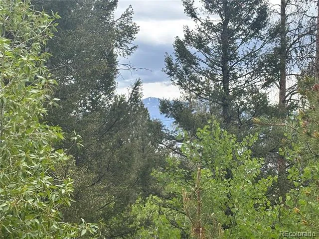 30304 Aspen Turn Buena Vista, CO 81211