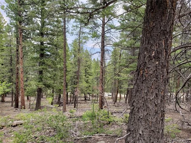 30304 Aspen Turn Buena Vista, CO 81211