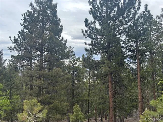 30304 Aspen Turn Buena Vista, CO 81211