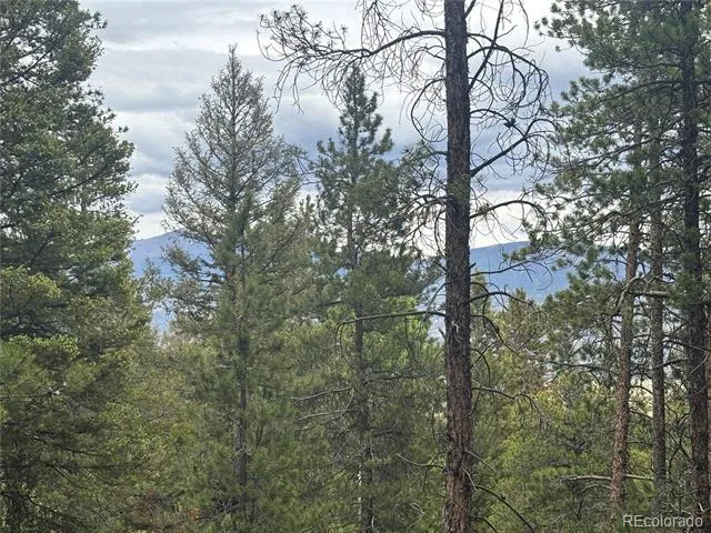 30304 Aspen Turn Buena Vista, CO 81211
