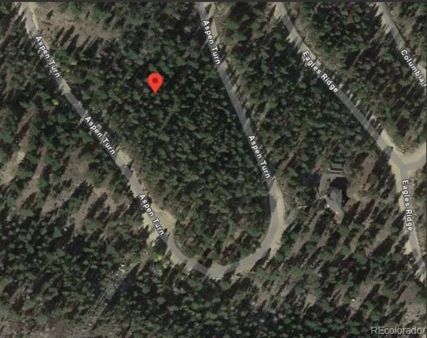 30304 Aspen Turn Buena Vista, CO 81211