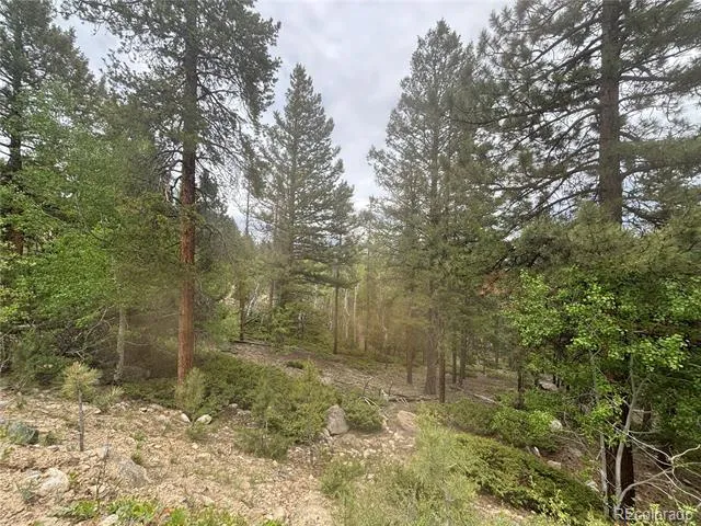 30304 Aspen Turn Buena Vista, CO 81211