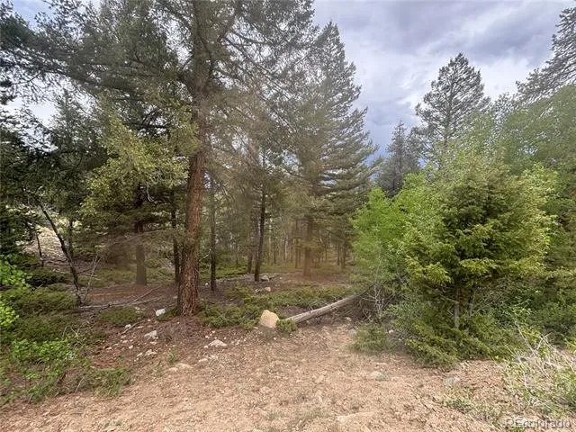 30304 Aspen Turn Buena Vista, CO 81211