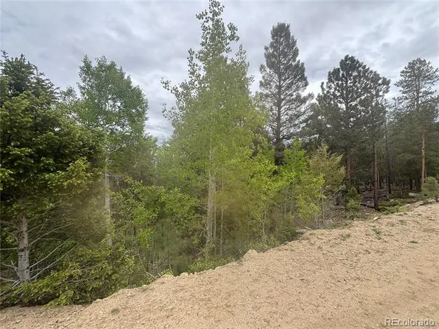 30304 Aspen Turn Buena Vista, CO 81211