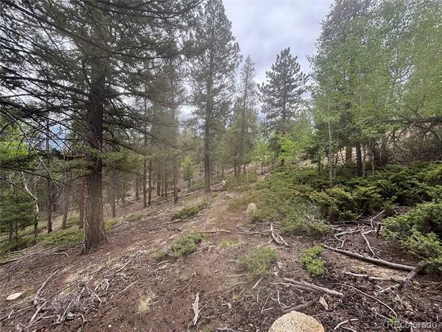 30304 Aspen Turn Buena Vista, CO 81211