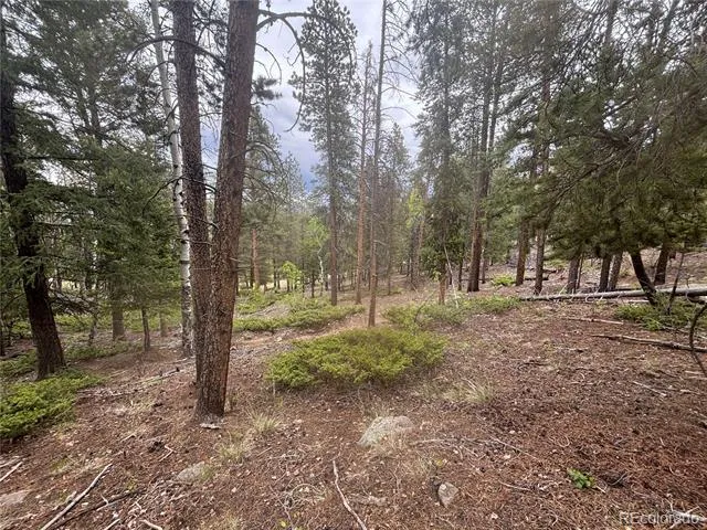 30304 Aspen Turn Buena Vista, CO 81211