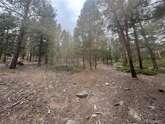 30304 Aspen Turn Buena Vista, CO 81211