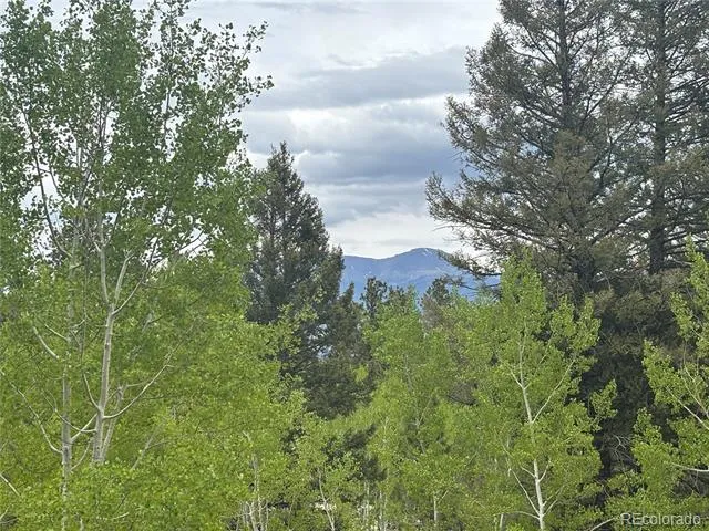 30304 Aspen Turn Buena Vista, CO 81211