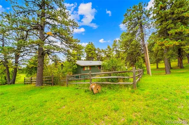 10829 Bartlett Trail Rye, CO 81069