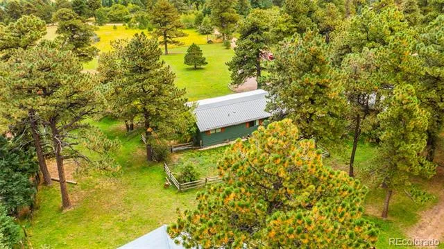 10829 Bartlett Trail Rye, CO 81069