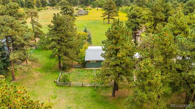 10829 Bartlett Trail Rye, CO 81069