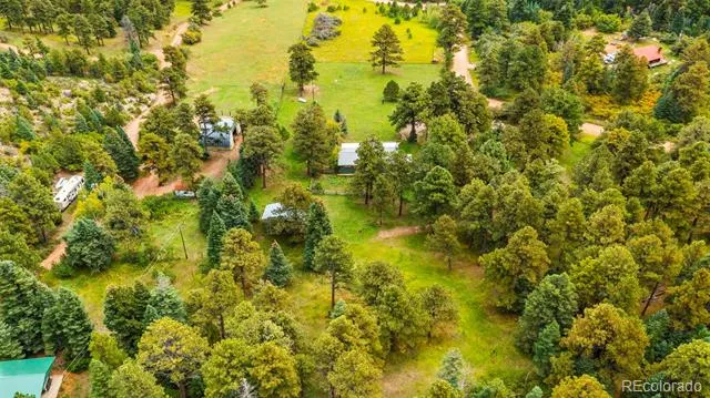 10829 Bartlett Trail Rye, CO 81069