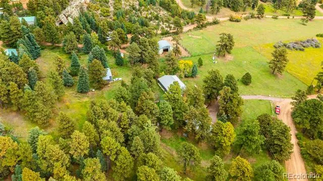 10829 Bartlett Trail Rye, CO 81069