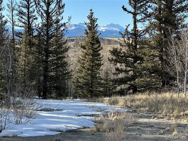 280 Welsh Cob Lane Jefferson, CO 80456