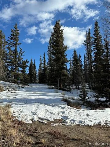 280 Welsh Cob Lane Jefferson, CO 80456