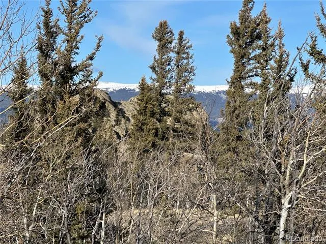 280 Welsh Cob Lane Jefferson, CO 80456