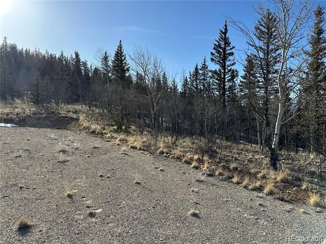 280 Welsh Cob Lane Jefferson, CO 80456