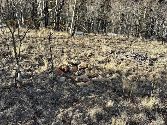 280 Welsh Cob Lane Jefferson, CO 80456