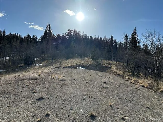 280 Welsh Cob Lane Jefferson, CO 80456