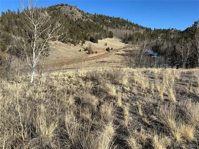 280 Welsh Cob Lane Jefferson, CO 80456