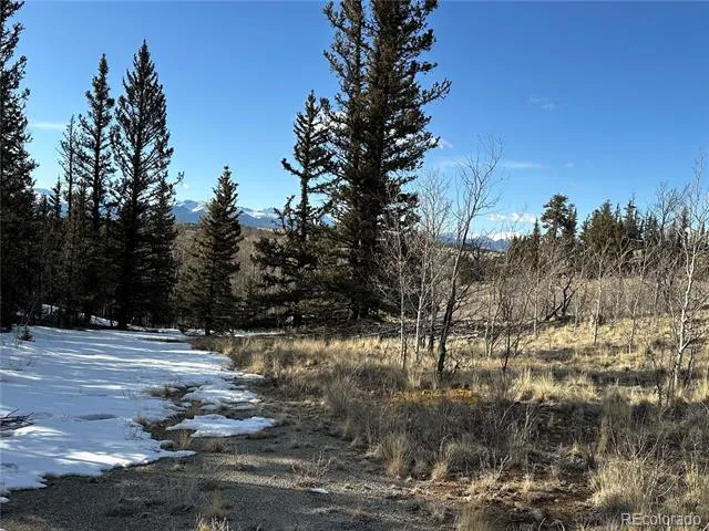 280 Welsh Cob Lane Jefferson, CO 80456