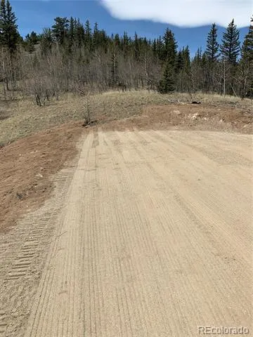 280 Welsh Cob Lane Jefferson, CO 80456
