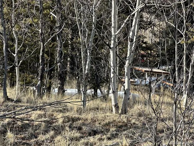 280 Welsh Cob Lane Jefferson, CO 80456