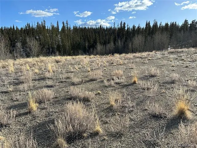 280 Welsh Cob Lane Jefferson, CO 80456