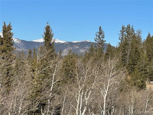 280 Welsh Cob Lane Jefferson, CO 80456