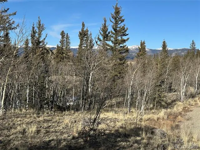 280 Welsh Cob Lane Jefferson, CO 80456