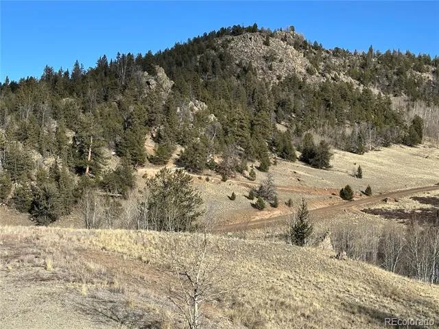 280 Welsh Cob Lane Jefferson, CO 80456