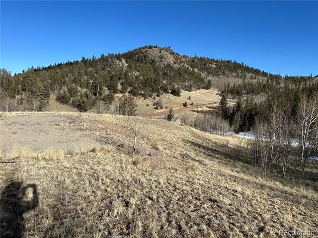 280 Welsh Cob Lane Jefferson, CO 80456