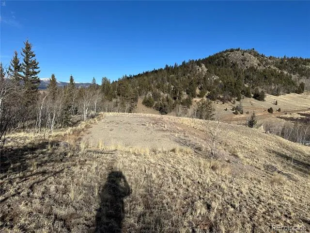 280 Welsh Cob Lane Jefferson, CO 80456