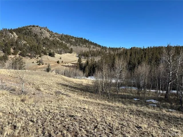 280 Welsh Cob Lane Jefferson, CO 80456