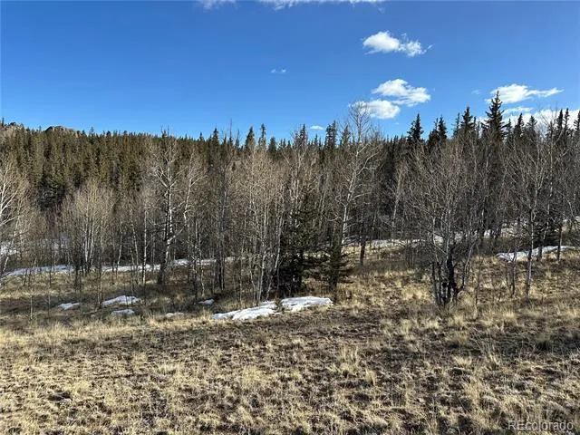 280 Welsh Cob Lane Jefferson, CO 80456