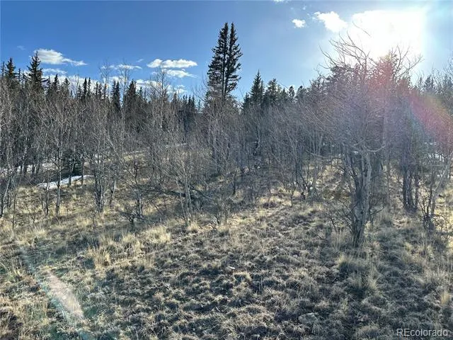 280 Welsh Cob Lane Jefferson, CO 80456