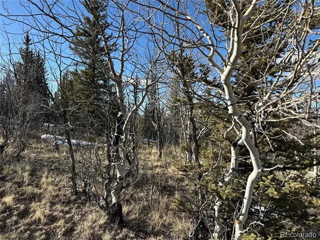 280 Welsh Cob Lane Jefferson, CO 80456