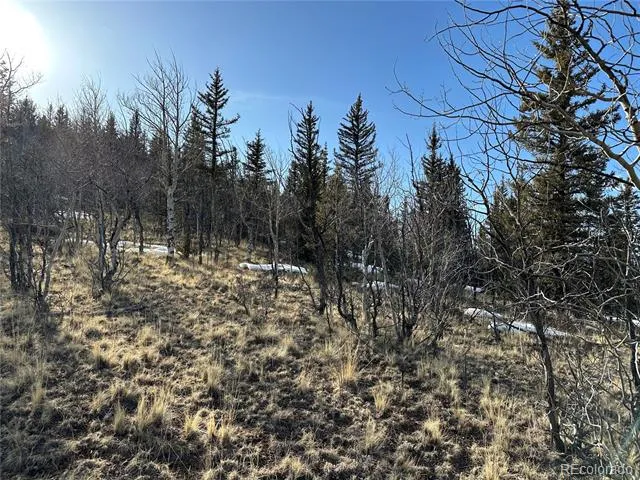280 Welsh Cob Lane Jefferson, CO 80456