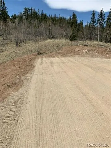 280 Welsh Cob Lane Jefferson, CO 80456