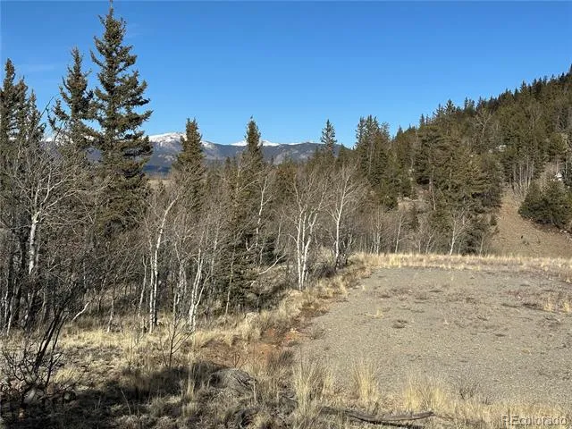 280 Welsh Cob Lane Jefferson, CO 80456