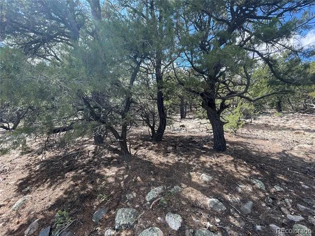Address Not Shown Crestone, CO 81131