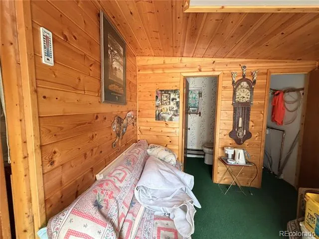 322 Morning Star Circle Black Hawk, CO 80422