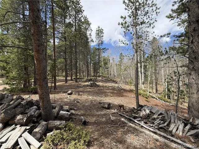 322 Morning Star Circle Black Hawk, CO 80422