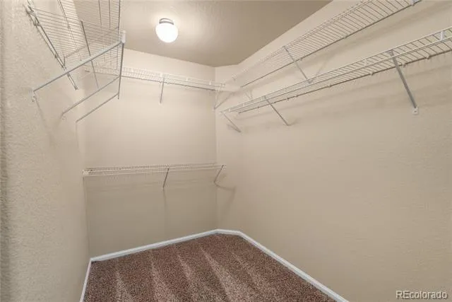 7848 Springwood Terrace Colorado Springs, CO 80908
