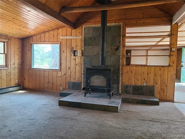 23721 Summit Street Pine, CO 80470