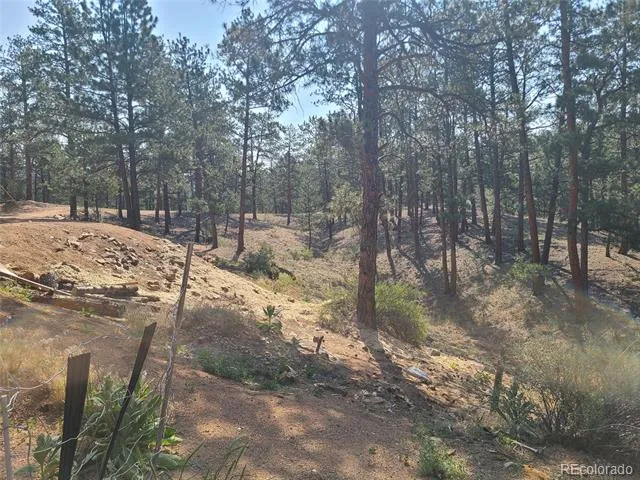 23721 Summit Street Pine, CO 80470