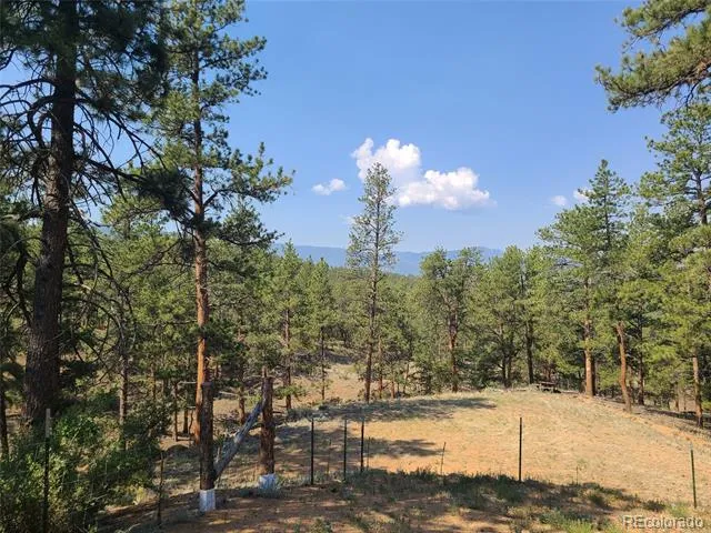 23721 Summit Street Pine, CO 80470