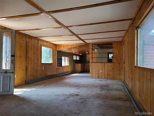 23721 Summit Street Pine, CO 80470