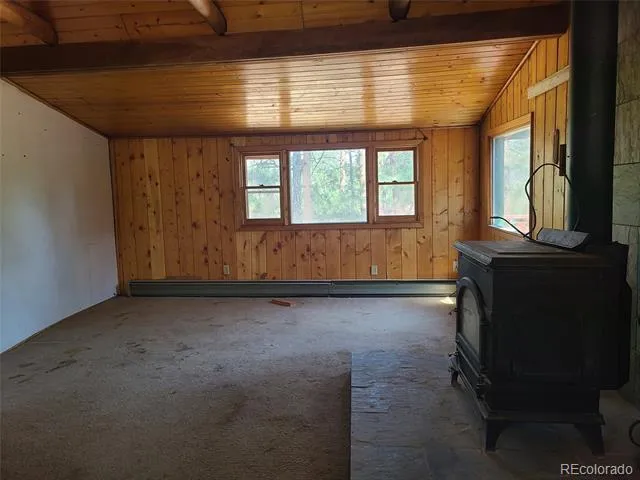 23721 Summit Street Pine, CO 80470